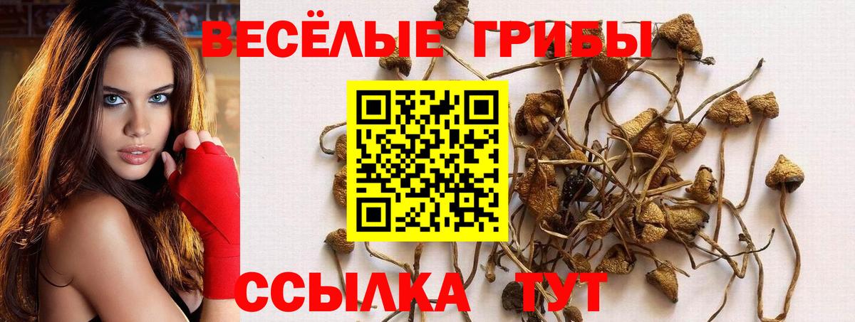 Псилоцибиновые грибы GOLDEN TEACHER  Вход с VPN  сколько стоит  Кашира 